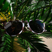 Hurricane - Rosa Schildpatt - Jet Black Polarized